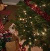 prettifun - most wonderful time of year