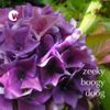 Zeeky Boogy Doog