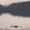 Beik Poel - En Aften Ved Svanefossen