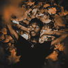 donavns - Autumn Of Acceptance