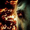 Yeat - LYFESTYLE (Horse Edition)