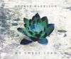 George Harrison - My Sweet Lord (2002)