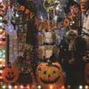 i wanna be a jack-o-lantern - deer in headlights
