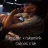 fakemink - Galaxy Pavillion Club