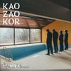 Klinika Denisa Kataneca - Kao zao kor