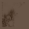 Slow Motion Projectile - &ldquo;Standing Guard&rdquo;