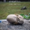 Parabola - Turn The Page