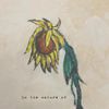 camp ghost - in the nature of