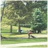 camp ghost - camp ghost