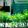 ひぐらしず [Higurashizu] - Deforestation