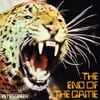 Peter Green - The End of the Game