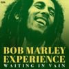 Bob Marley - Waiting in Vain