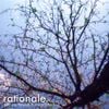 Rationale. - You Are Flawed, but You'll Be Fine.