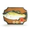 Green Day - Basket Case (Big Mouth Billie Bass)