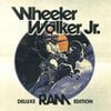 Wheeler Walker Jr. - Money 'N' Bitches (Remix)