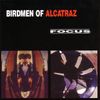 Birdmen Of Alcatraz - Focus