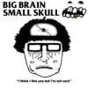 Big Brain, Small Skull - I Think I Like You But I'm Not Sure