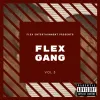 Various Artists - Flex Gang, Vol. 5