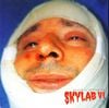 Rogério Skylab - Skylab VI