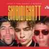 McQueen - Skibidi Gyatt