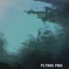 Dog Silent - Flying Fish