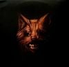 Swans - The Seer (Vinyl Edition)