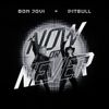 Pitbull - Now or Never