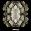 Noriega - Desolo