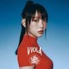 Viola