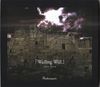 Phantasmagoria - 「Wailing Wall」 2004-2010