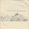 Various Artists - What April Showers Bring...