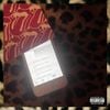 yuke - cheetah world