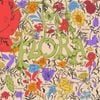 Nasa Histoires - FLORA