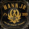 Hank Williams, Jr. - All My Rowdy Friends: Best Of