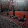 Parabola - Never Leave