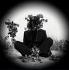 Blue Slate - This Is How I Sleep At Night