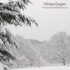 The Moment Of Nightfall - Winter Dream