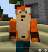 Displayy - 2016 special education kids serizure while playing the crash bandicoot minecraft map