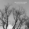 Dreams Of December - Ashes of a Decadent Life