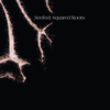 Seefeel - Squared Roots