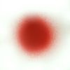 jaso - "the red orb!" (full..)