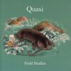 Quasi - Field Studies