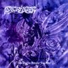 Sacrilege - Lost in the Beauty You Slay