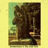 Mountainwolf - Brotherhaze & The Acid Test VOLUME 1