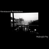 Harassment Architecture - Midnight Fog