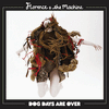 Florence + the Machine - Dog Days Are Over