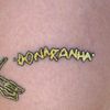 donaranha - donaranha