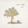 bbbbfc - small steps