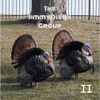The Jimmy Dixon Group - The Rough Demos II