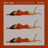 李丁丁MIA AIM - 冷.酸.灵 | Cool Acid Soul